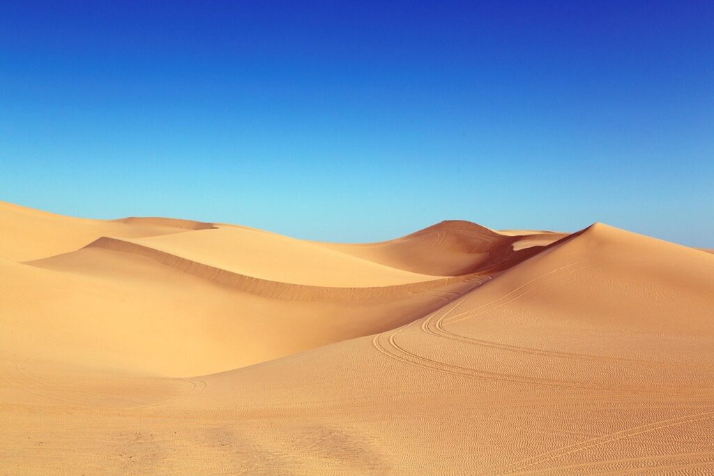 desert, dunes, algodones dunes